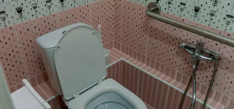 Meeting Diverse Needs With Accessible Restroom Solutions in Plainfield, IN